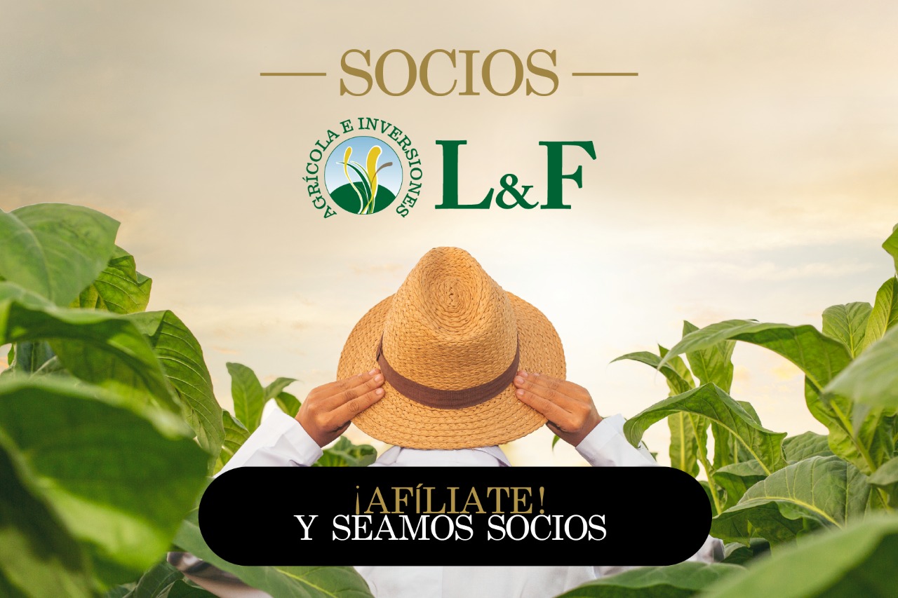 sociolyf